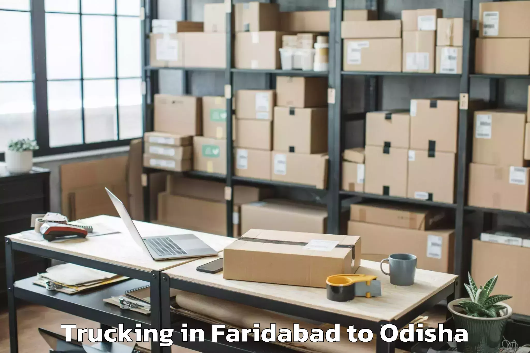 Top Faridabad to Boudh Trucking Available